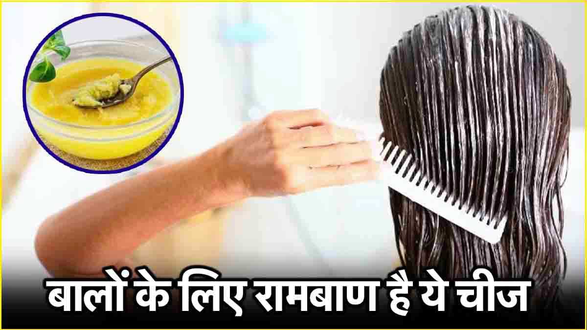 Ghee Hair Mask: मनी प्लांट के तरह तेजी से बढ़ेंगे आपके बाल, अपनाएं ये आसान तरीका