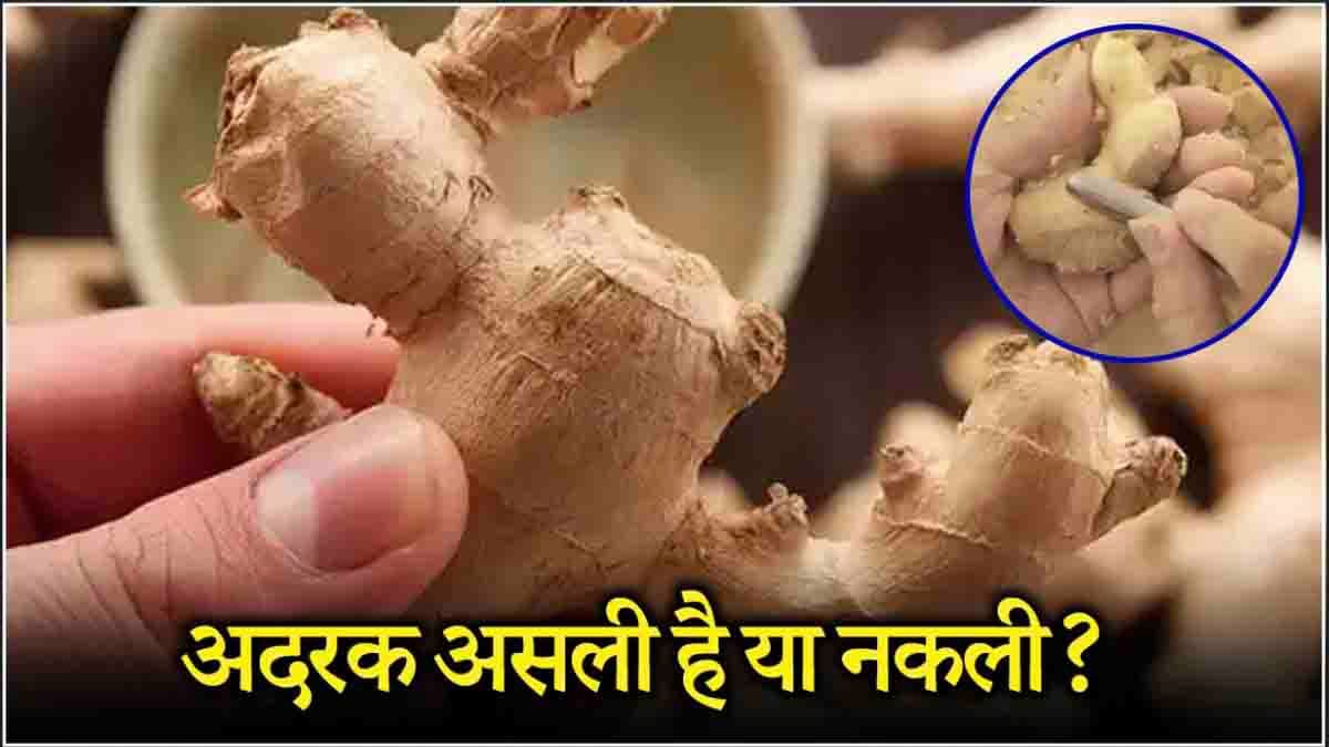 Ginger Real or Fake: नकली अदरक का तो नहीं कर रहे इस्तेमाल? मिनटों में ऐसे करें असली की पहचान