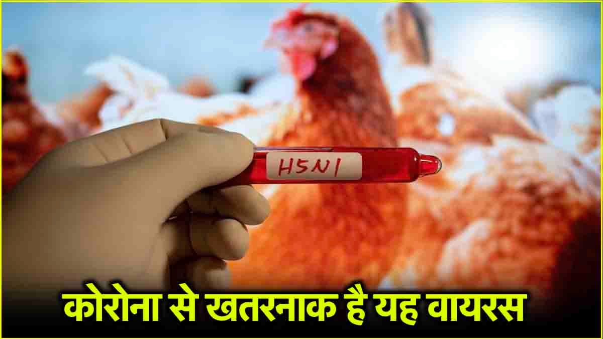 कोरोना से खतरनाक H5N1 बर्ड फ्लू के शुरुआती संकेत क्या? US में मिला संदिग्ध मरीज