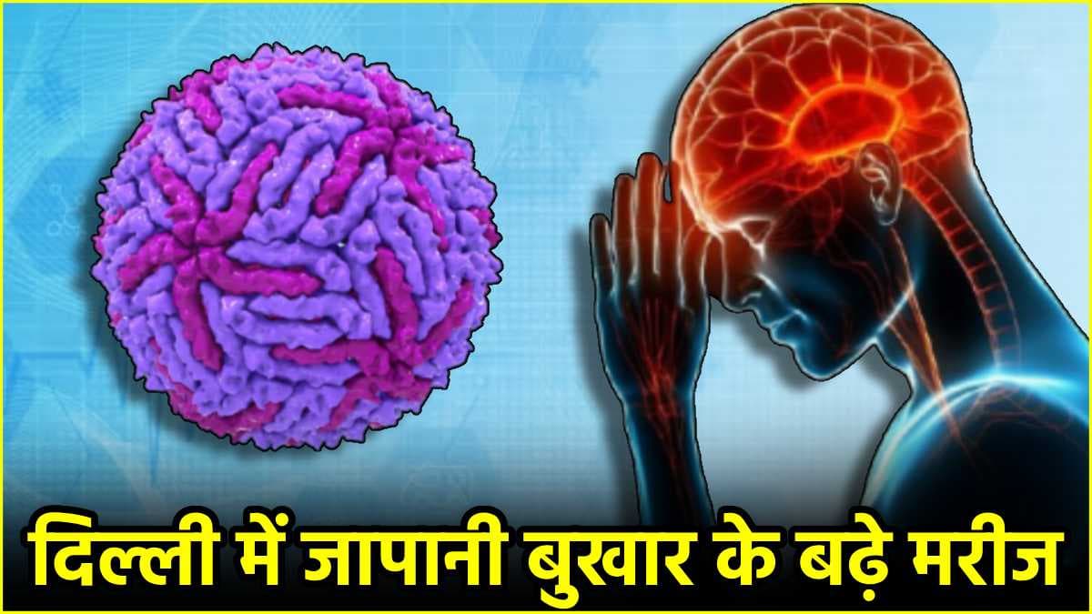 जापानी बुखार आम या वायरल फीवर से अलग कैसे? जानें शुरुआती संकेत और बचाव
