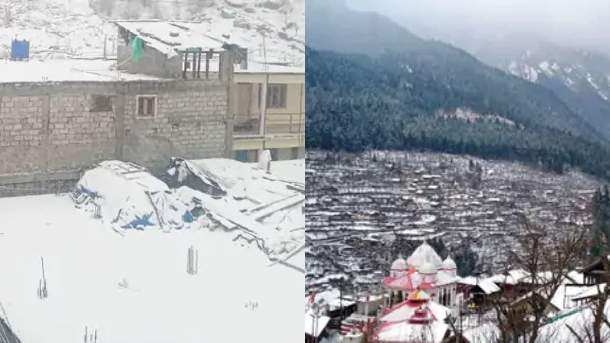 Delhi-NCR में कोल्ड डे, 11 राज्यों में कोहरा, 10 में शीतलहर की चेतावनी, जानें IMD का अपडेट