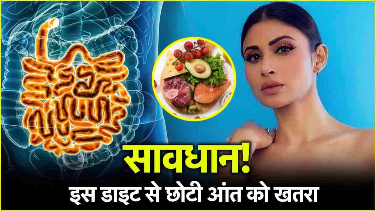 Intestine Infection: क्या है कीटो डाइट? जिससे बिगड़ी मौनी राय की हालत, डॉक्टर्स से समझें क्या बीमारी