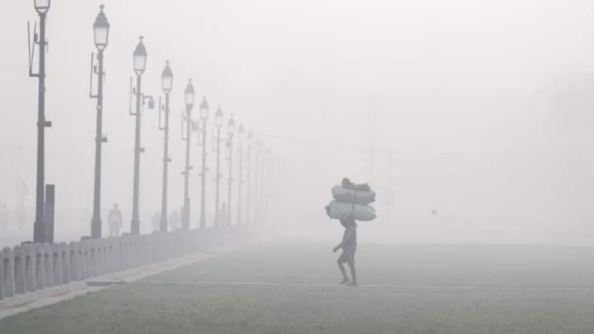 ठिठुर रहा मध्य प्रदेश! बर्फीली हवाओं से 1 डिग्री तक पहुंचा तापमान; 37 जिलों में शीतलहर का अलर्ट