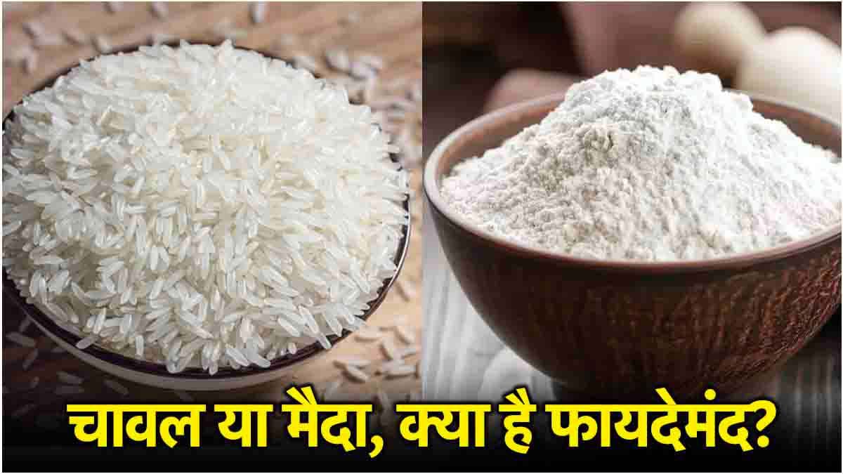 Maida VS White Rice: फायदेमंद समझकर रोज खा रहे हैं सफेद चावल, जरा जान लीजिए इसकी सच्चाई