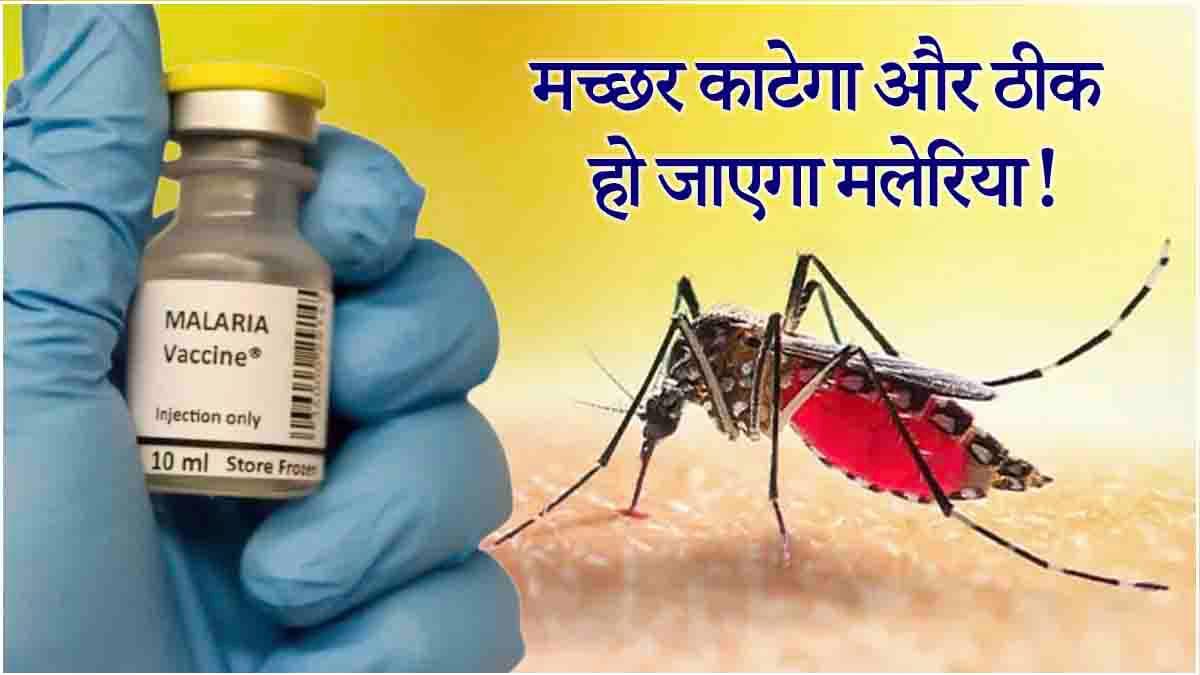 मलेरिया का इलाज मच्छर के डंक से, नई रिसर्च में चौंकाने वाला खुलासा