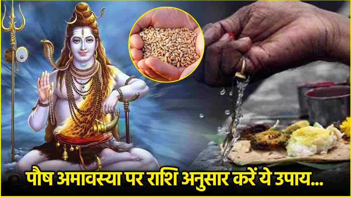 Paush Amavasya 2024: साल की आखिरी अमावस्या पर 12 राशियों को मिलेगा पितृ दोष से छुटकारा! करें ये उपाय