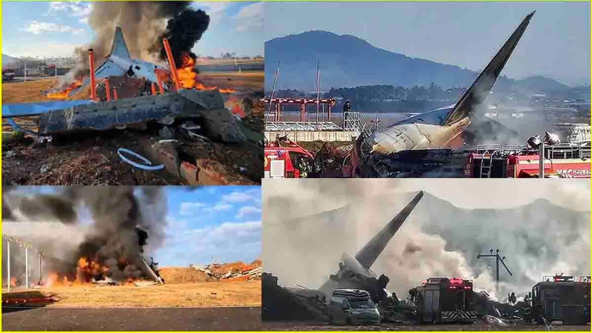 Plane Crash: 179 मौतों का जिम्मेदार कौन; जानें साउथ कोरिया में क्यों हुआ विमान हादसा?