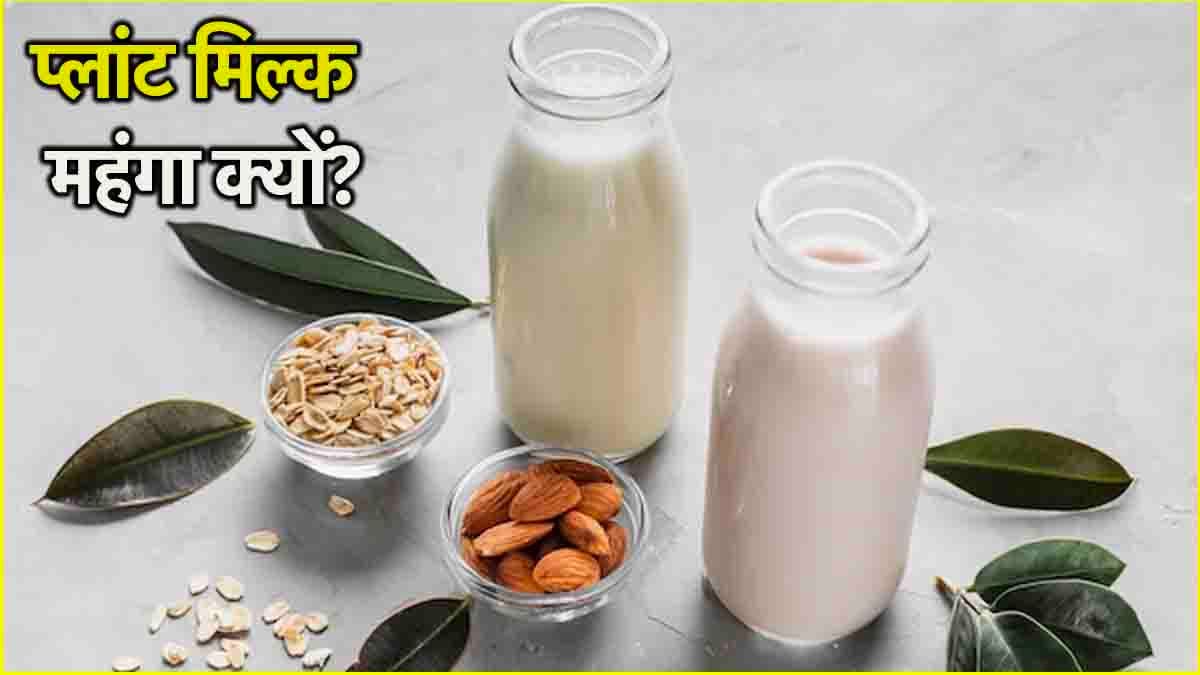 Cow Milk Vs Plant Milk: हड्डियों के लिए कौन सा दूध फायदेमंद?
