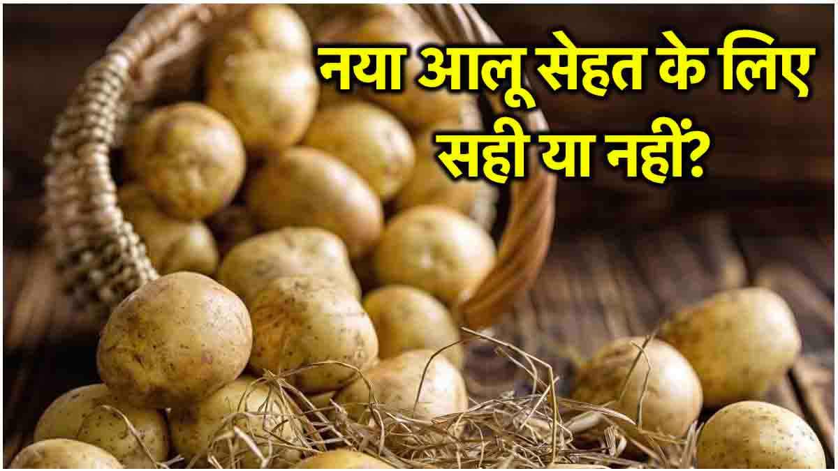 बाजार का नया आलू सेहत के लिए खतरनाक क्यों? पुराने की पहचान क्या
