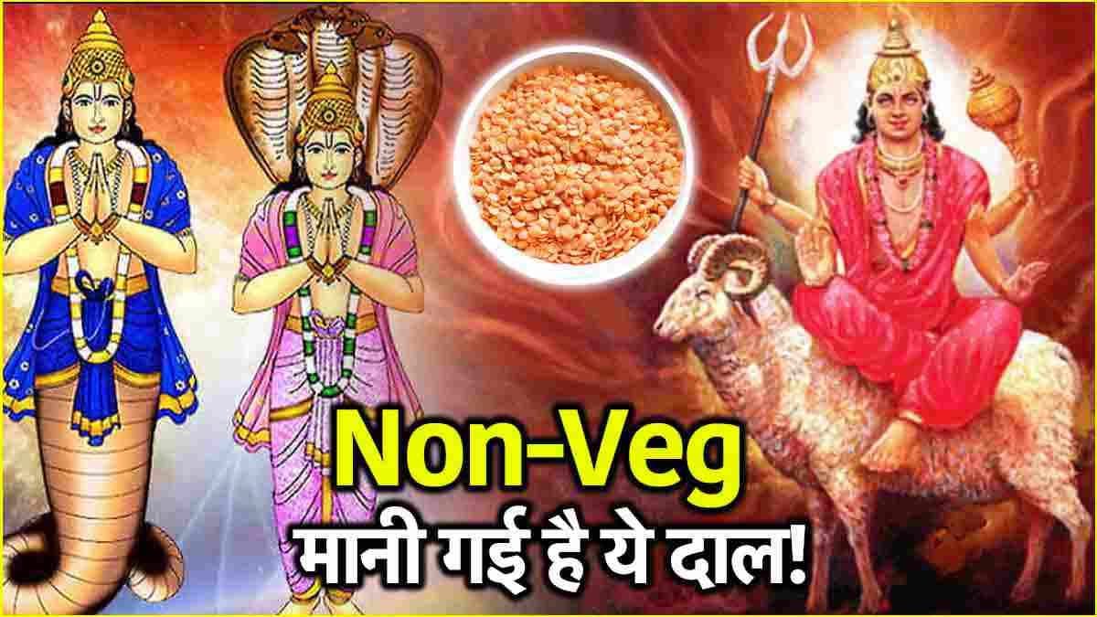 Non-Vegetarian Dal: क्या आप जानते हैं कि जो दाल आप खाते हैं, वो है मांसाहारी! जानें कैसे?