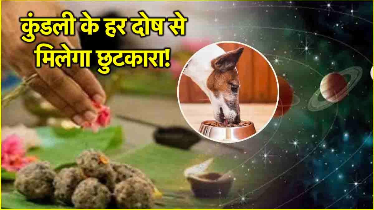 Somvati Amavasya 2024: साल की आखिरी अमावस्या पर करें ये 6 काम, पितृ ऋण के भार से मिलेगी मुक्ति!
