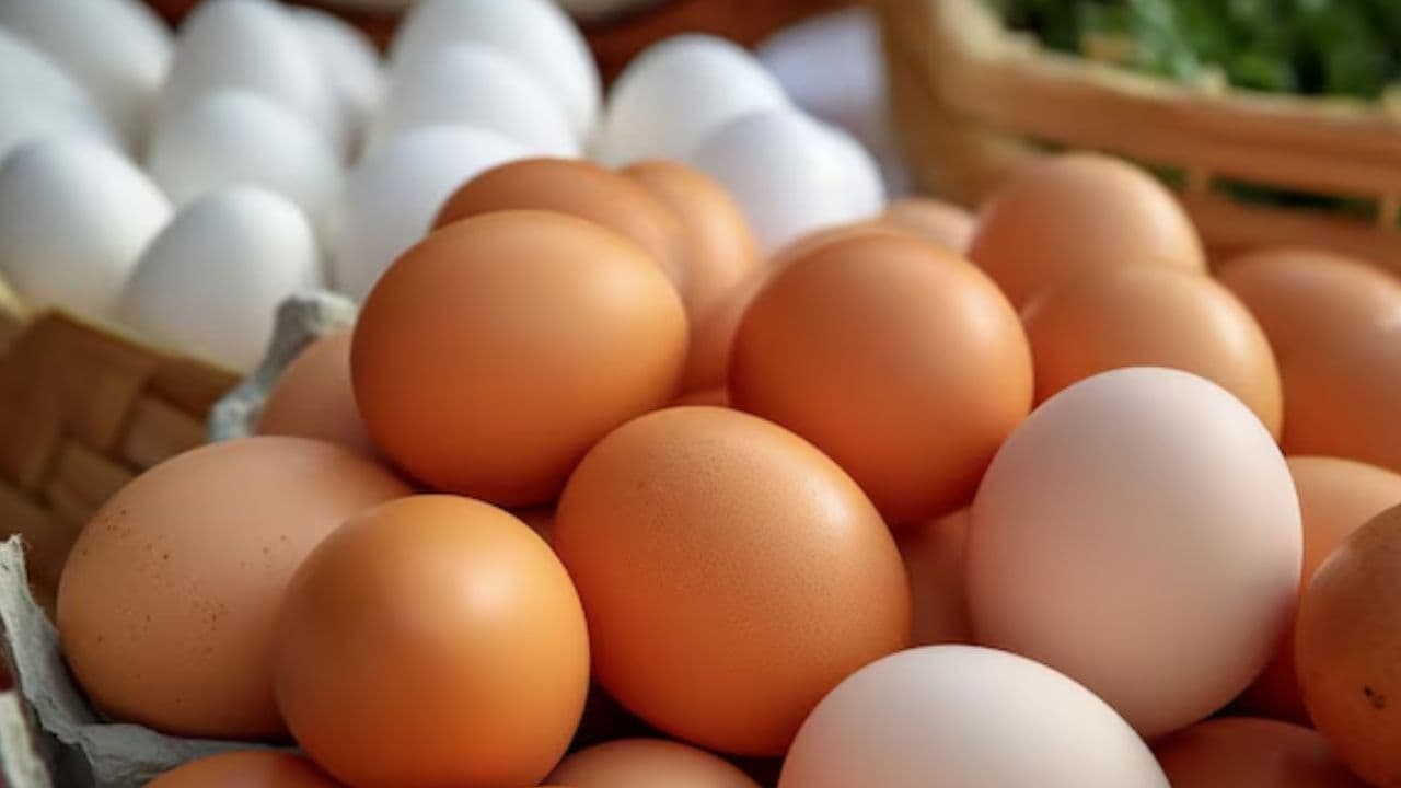 Egg Benefits: सर्दियों में इन 3 तरीकों से करें अंडे को अपनी डाइट में शामिल, इम्यूनिटी बूस्ट होने से लेकर प्रोटीन की कमी होगी दूर