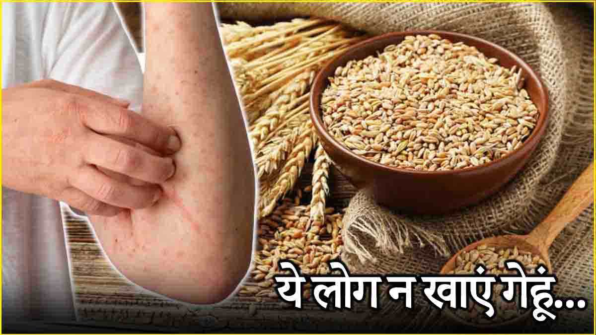 Wheat Allergy: ज्यादा गेहूं का आटा खाने से हो सकते हैं ये 7 नुकसान