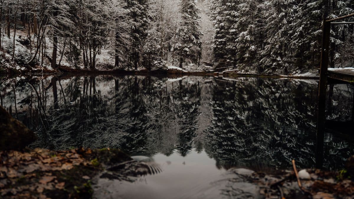 Winter Solstice 2024 Winter Solstice 2024