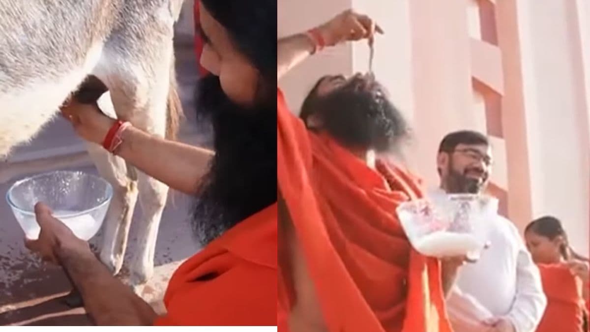 वैरी टेस्टी! बाबा रामदेव ने पिया गधी का दूध, गिनाए ये फायदे; सुनकर रह जाएंगे दंग