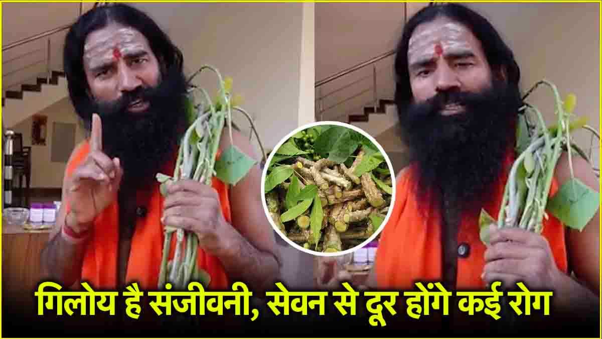स्वामी रामदेव के फार्मूले से दूर भागेंगी ये 7 बीमारियां, वीडियो में बताए गिलोय के फायदे