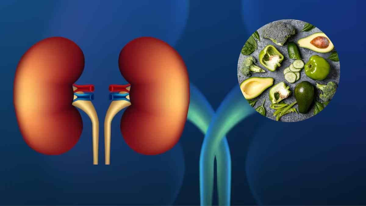 Kidney Detox Tips: किडनी को डिटॉक्स करते हैं ये फूड्स, जानें खाने के फायदे