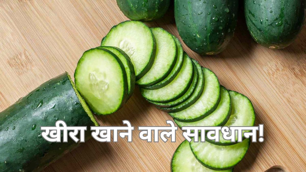खीरा खाते ही हुआ पेट में दर्द और उल्टी, अमेरिका के 23 राज्यों से वापस मंगाए खीरे