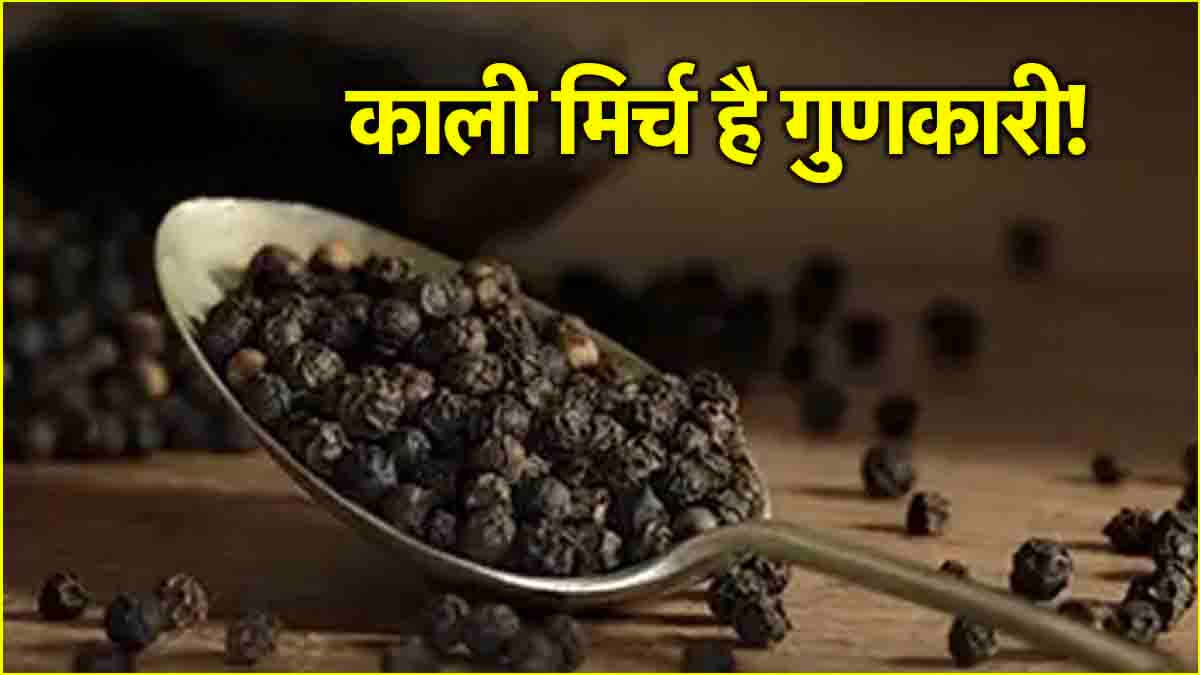 Black Pepper Benefits: सर्दियों में काली मिर्च खाने के होते हैं 3 फायदे, वजन घटाने में भी करता है मदद