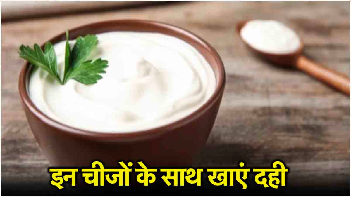 Curd Benefits: हेल्दी डाइजेशन के लिए दही में मिलाएं ये 5 फूड्स, जानें खाने का तरीका