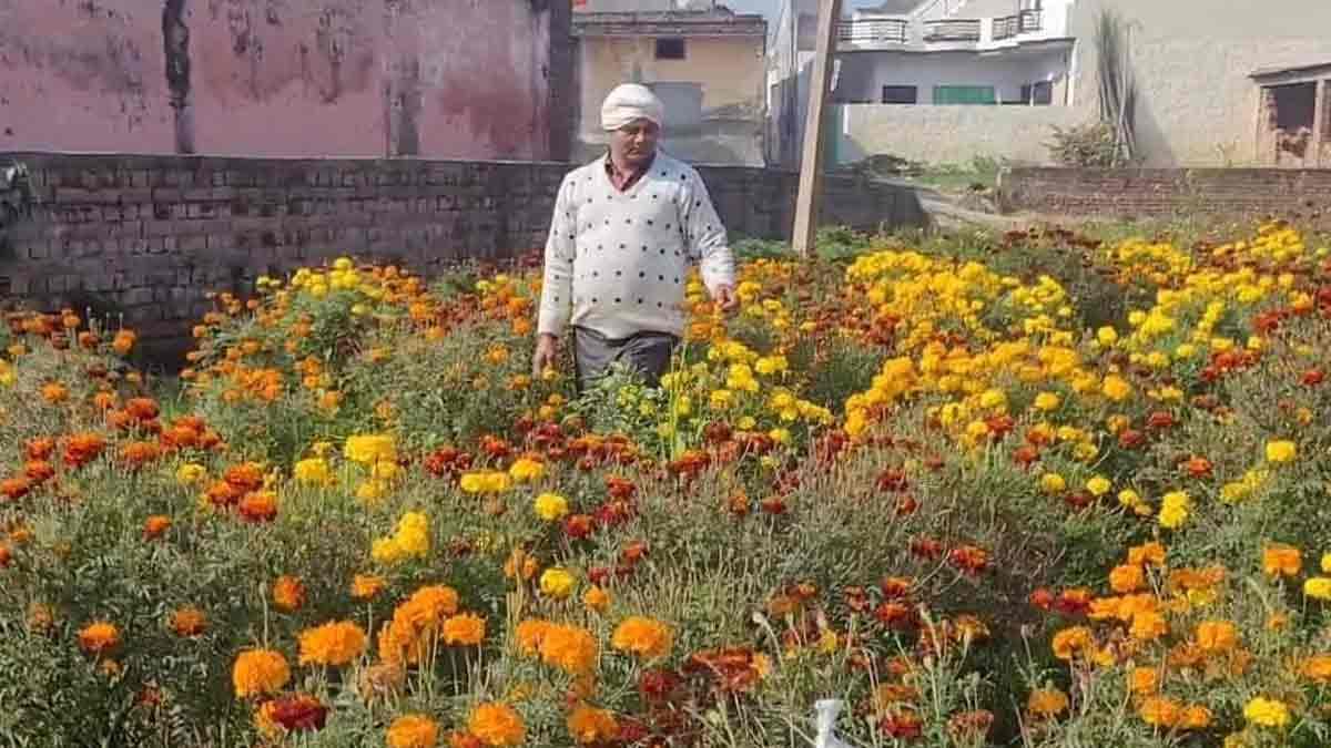 Success Story: फूलों की खेती से अपनी जिंदगी महका रहे गुरनाम सिंह, सालाना लाखों की कमाई