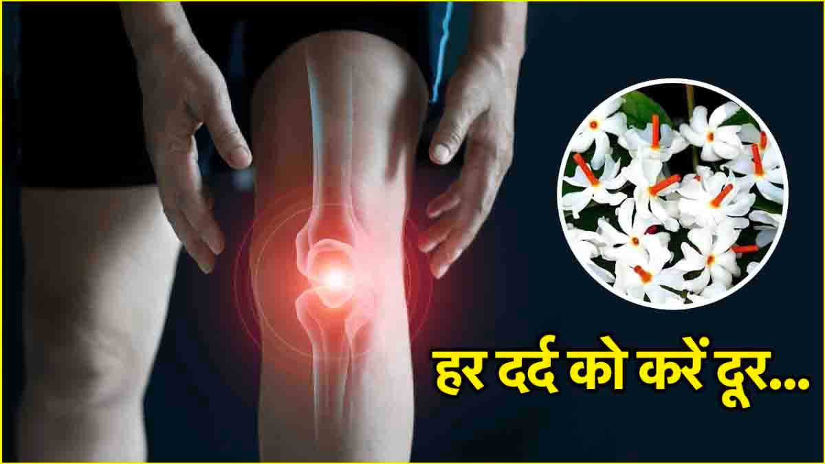 बॉडी के हर दर्द को दूर करेगा यह फूल, ऐसे करें इस्तेमाल