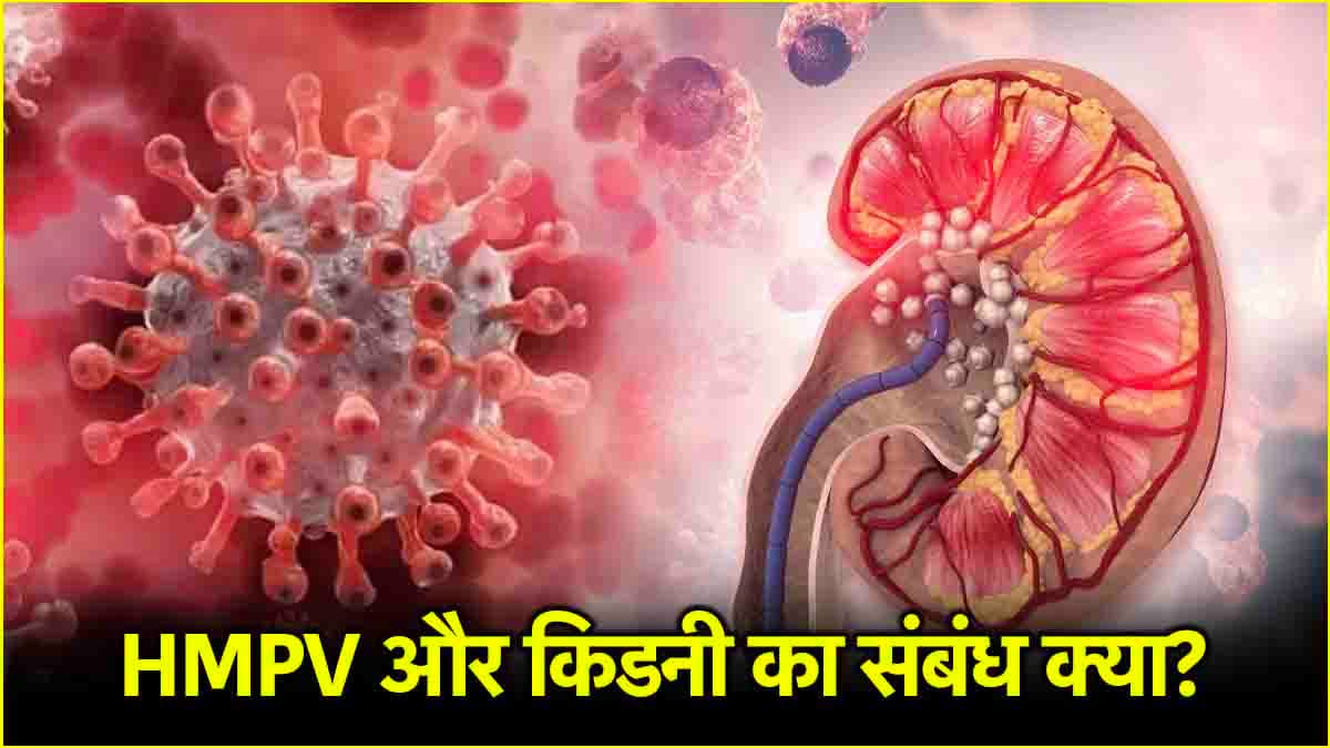 HMPV वायरस का किडनी पर क्या असर? क्या कहते हैं एक्सपर्ट