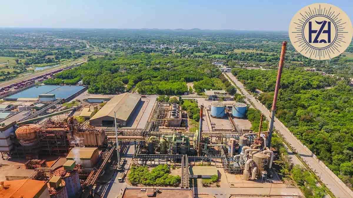 Hindustan Zinc के शेयर पर नजर रखना क्यों है जरूरी? समझिये फायदे का पूरा गणित