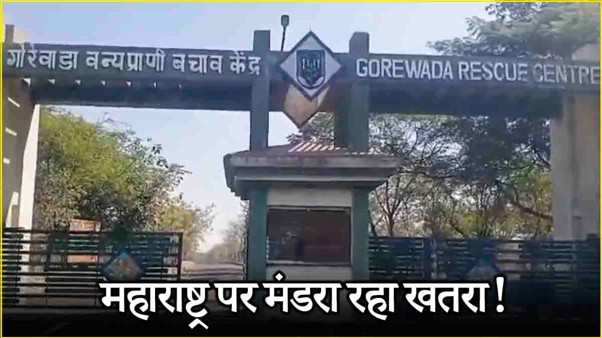 महाराष्ट्र में अचानक क्यों मर रहे हैं जानवर? मेडिकल रिपोर्ट में चौंकाने वाला खुलासा