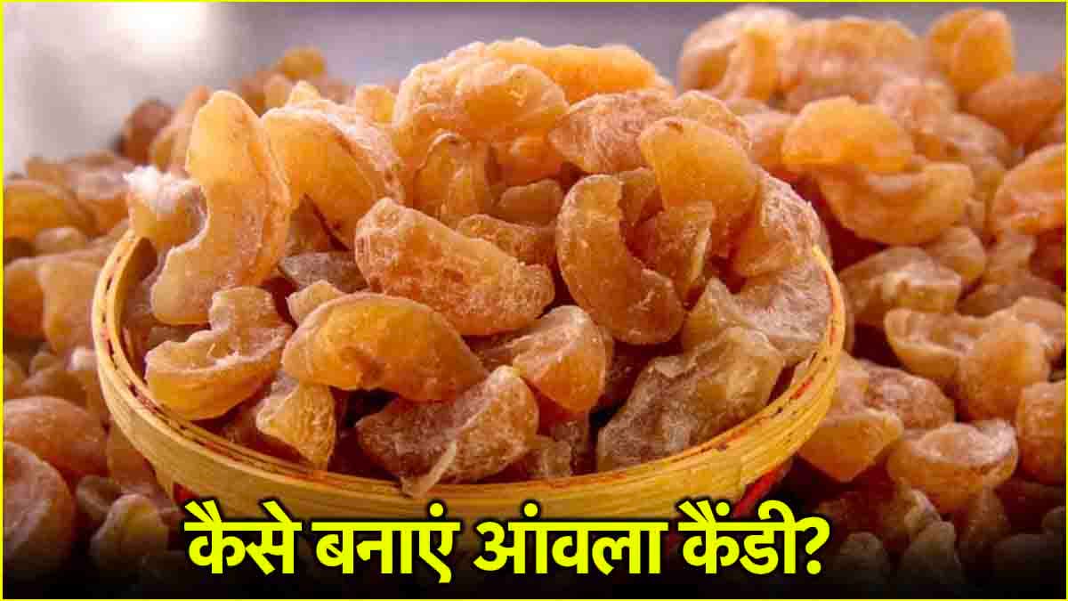 Amla Candy: 21 दिनों तक रोजाना खाएं आंवले के साथ ये 2 चीजें, सद्गुरु जग्गी वासुदेव ने बताए अचूक फायदे!