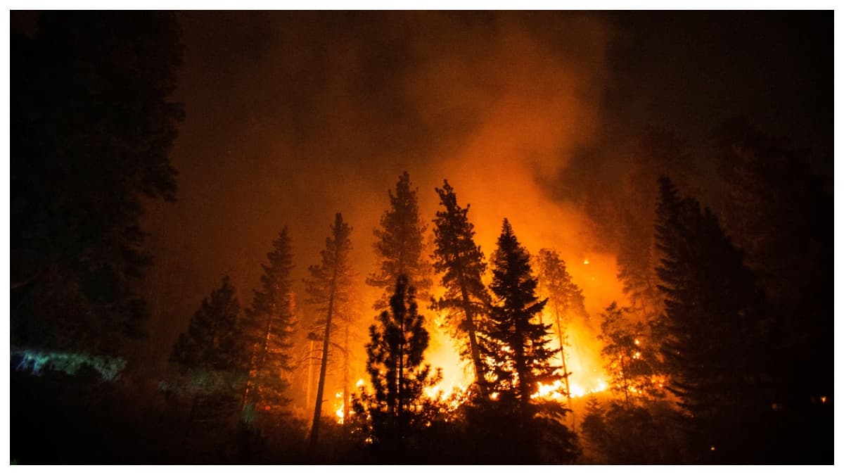 Los Angeles के जंगलों की आग में खाक हुए हॉलीवुड स्टार्स के बंगले, 72 करोड़ रुपए में बना बंगला हुआ राख