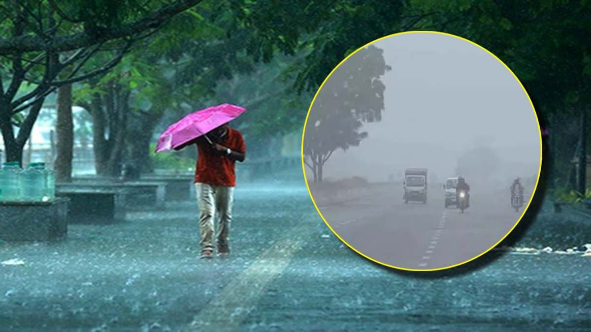 मध्य प्रदेश में फिर बदलेगा मौसम का मिजाज; 34 जिलों में बारिश का अलर्ट