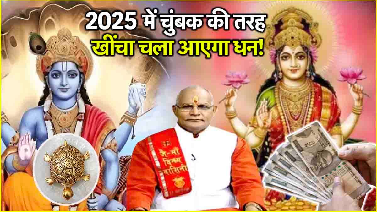 Video: घर में इस तरह का कछुआ रखना भाग्यशाली, नहीं होगी पैसों की कमी!