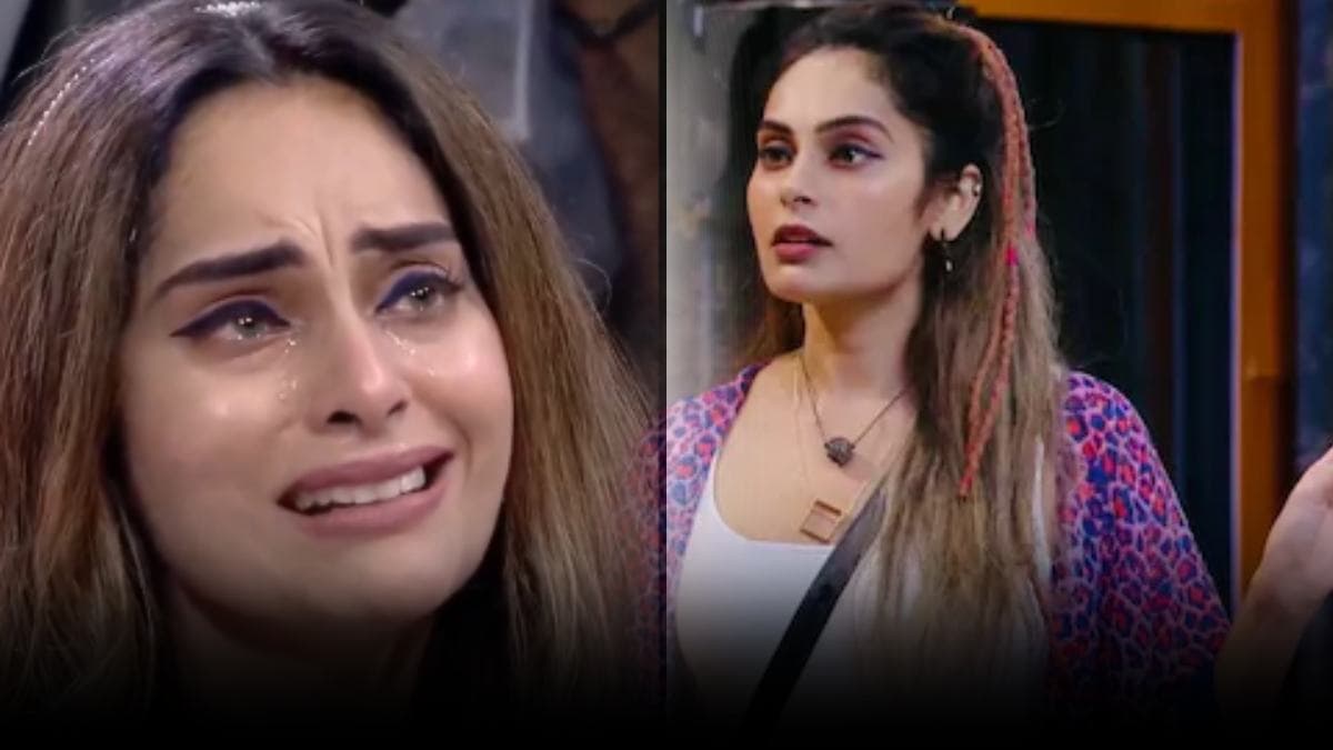 Bigg Boss 18 से श्रुतिका अर्जुन के एविक्शन के 5 कारण, जाते-जाते करणवीर एक्सपोज
