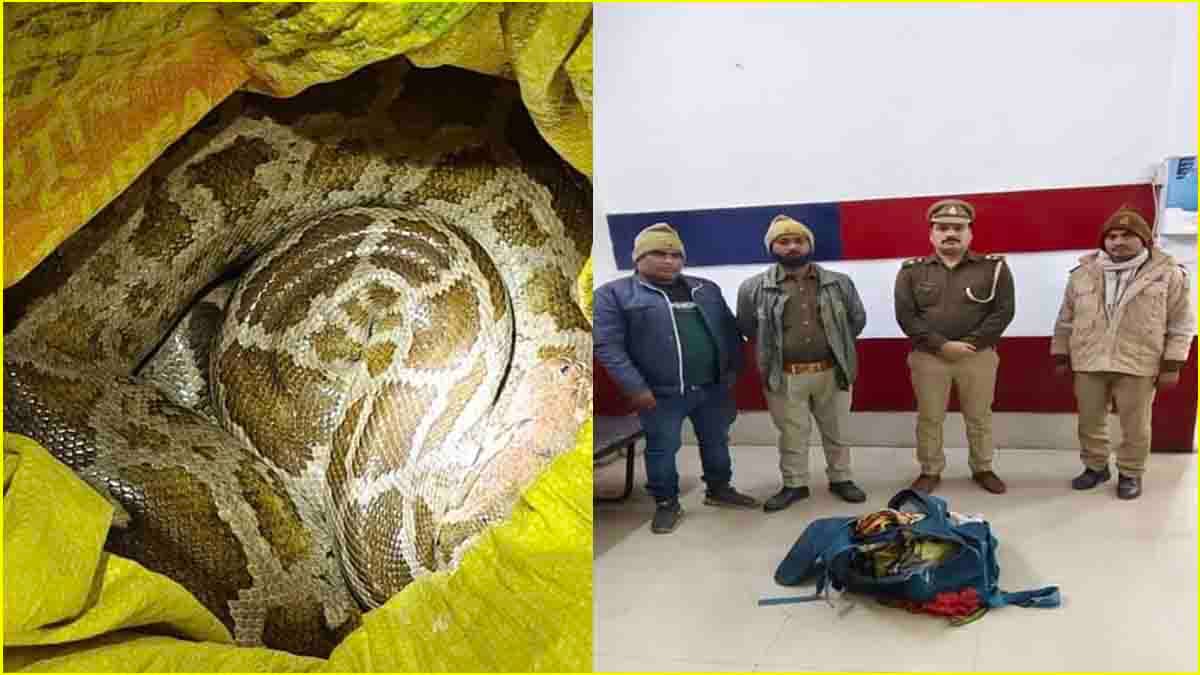 चंदौली रेलवे स्टेशन पर दिखे 5-6 फीट लंबे 4 सांप, बोरे को हिलते देख कांप गए GRP के जवान