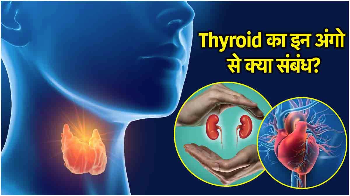 Thyroid से बॉडी के इन अंगों पर पड़ता है असर, जानें संकेत और एक्सपर्ट की राय