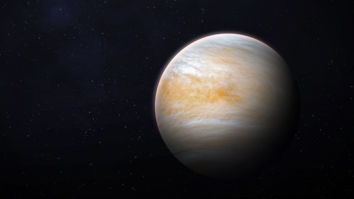 Super Venus: एस्टोनॉटर्स ने खोजा नया वीनस; क्यों खास है नया ग्रह? जानें डिटेल