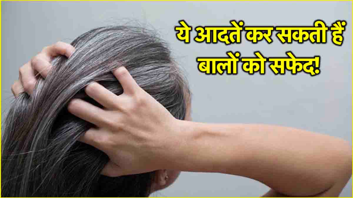 Hair Care Tips: सफेद नहीं करवाना चाहते बाल तो छोड़ दें ये 3 आदतें, क्या कहते हैं एक्सपर्ट