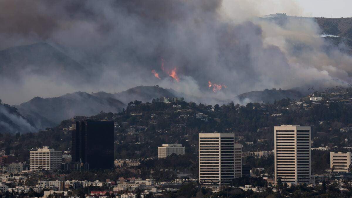 Los Angeles में फिर भड़की आग, 8,000 एकड़ से ज्यादा जगंल जलकर राख, जानें अब  कैसे है हालात