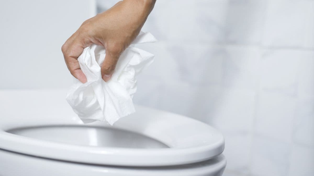 toilet Seat