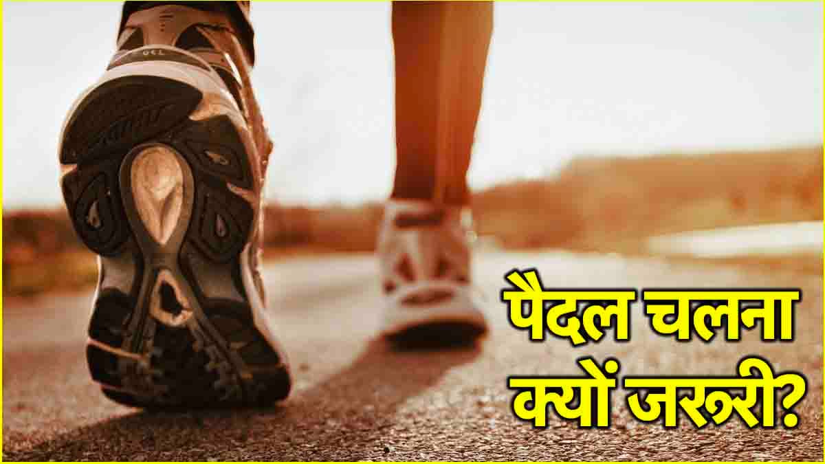 Walking Benefits: सर्दियों में पैदल चलने के 3 फायदे, जानें क्या कहती है साइंस