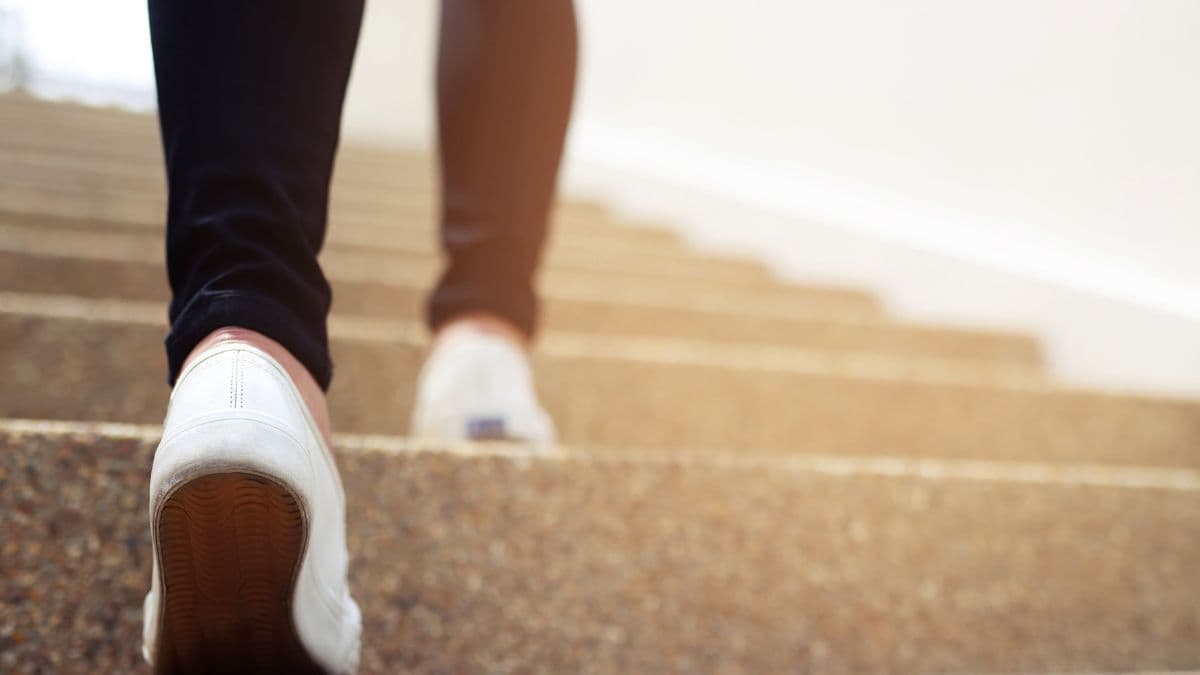 Healthy Walking Habits: वजन घटाने के लिए सैर खाली पेट करें या कुछ खाने के बाद; रिसर्च में सामने आई ये बात