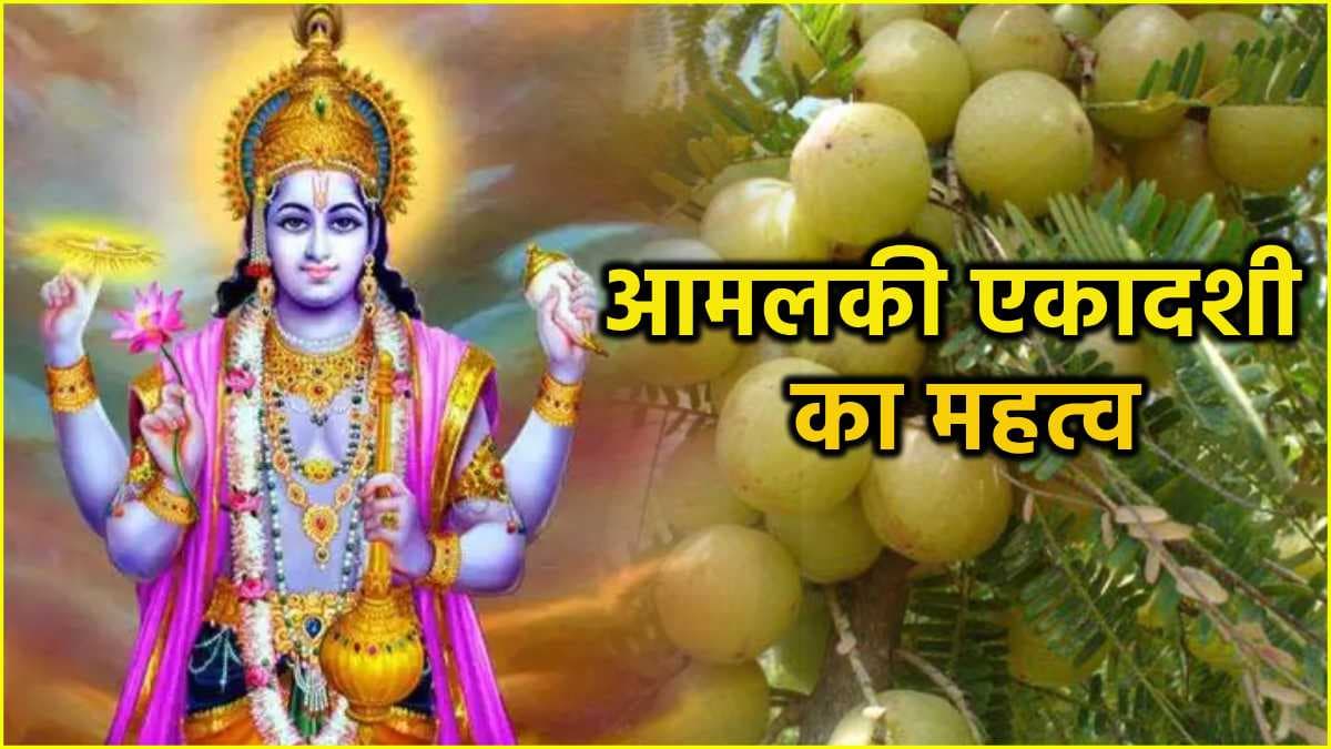 Amalaki Ekadashi 2025: 9 या 10 मार्च, कब है आमलकी एकादशी? जानें सही तिथि, शुभ मुहूर्त और श्रीहरि विष्णु की पूजा विधि