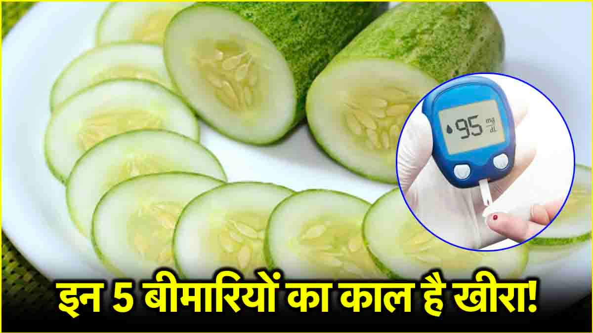 Cucumber Benefits: खीरा है आपकी हेल्थ के लिए हीरा, इन 5 बीमारियों को रखता है कोसों दूर!