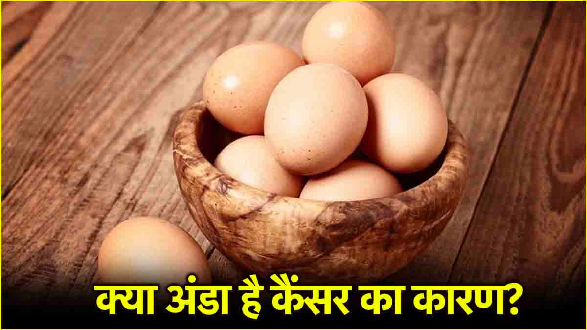 Cancer Cause: क्या रोज अंडा खाने से हो सकता है कैंसर? जानें क्या कहती है रिपोर्ट
