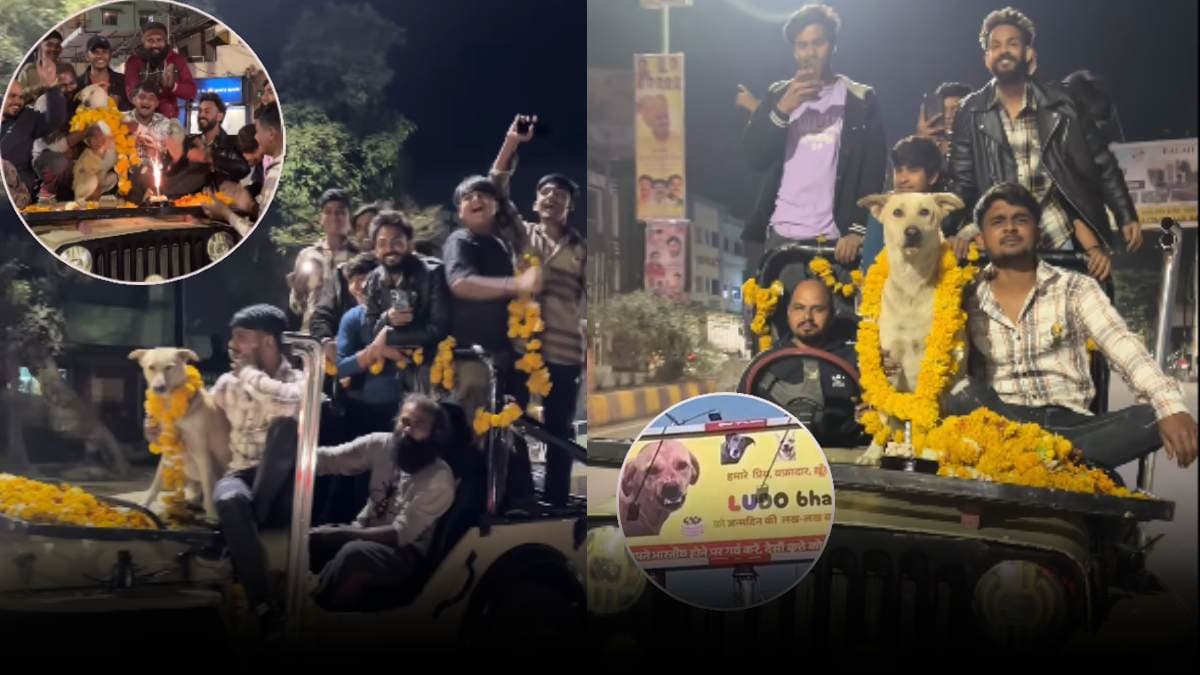डॉगी के बर्थडे पर पानी की तरह बहाया पैसा, इतना बड़ा होर्डिंग...ये सेलिब्रेशन कैसा?