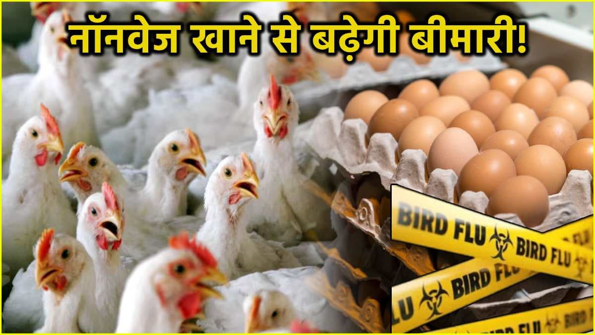 Bird Flu Outbreak in India: अंडा-चिकन खाना सेफ या नहीं, जानें क्या कहते हैं एक्सपर्ट