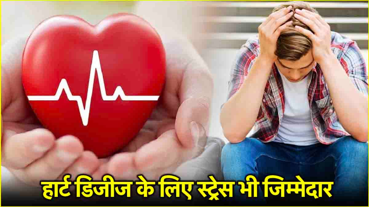 स्ट्रेस से लेकर हार्ट डिजीज का खतरा बढ़ा रही हैं ये 5 चीजें! डॉक्टर से जानें बचाव के उपाय