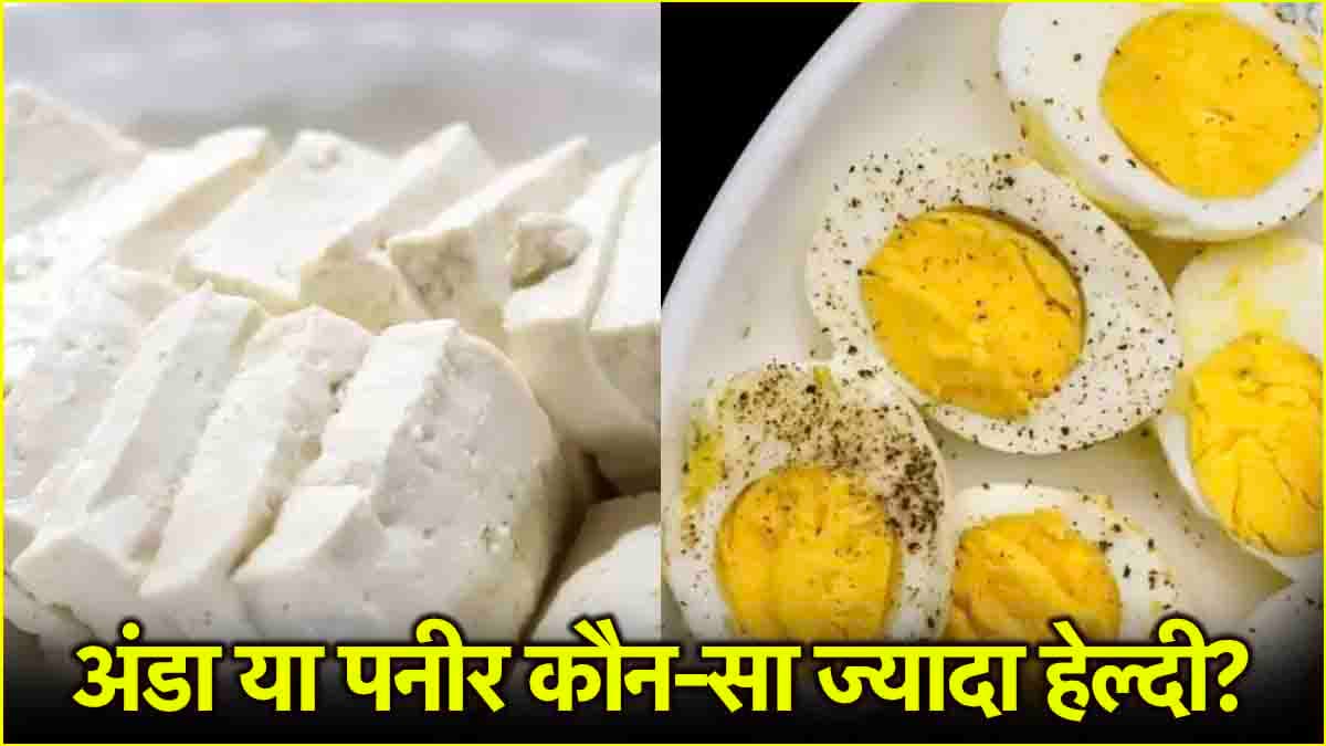 Egg vs Paneer: वजन घटाने के लिए प्रोटीन का कौन सा है बेहतर सोर्स?