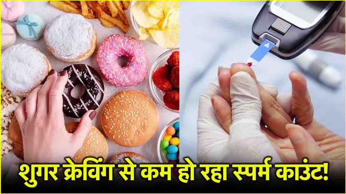 Infertility Causes: टाइप-2 डायबिटीज से क्या पुरुषों में कम होता है स्पर्म काउंट? जानें क्या कहते हैं एक्सपर्ट